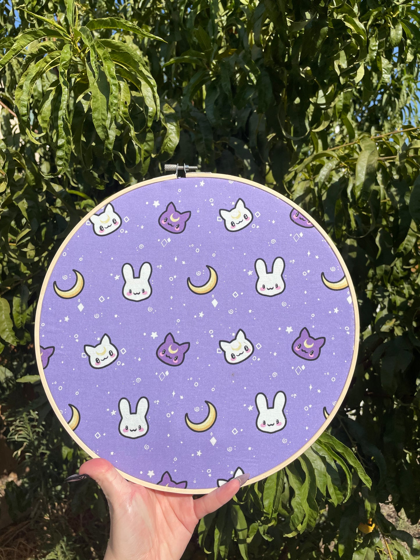 Moon Critters Hoop