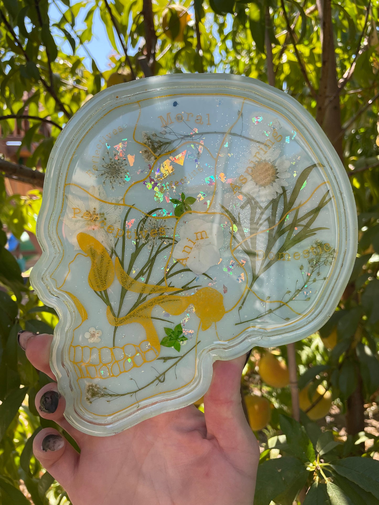 Sky and Flowers Phrenology Trinket Tray
