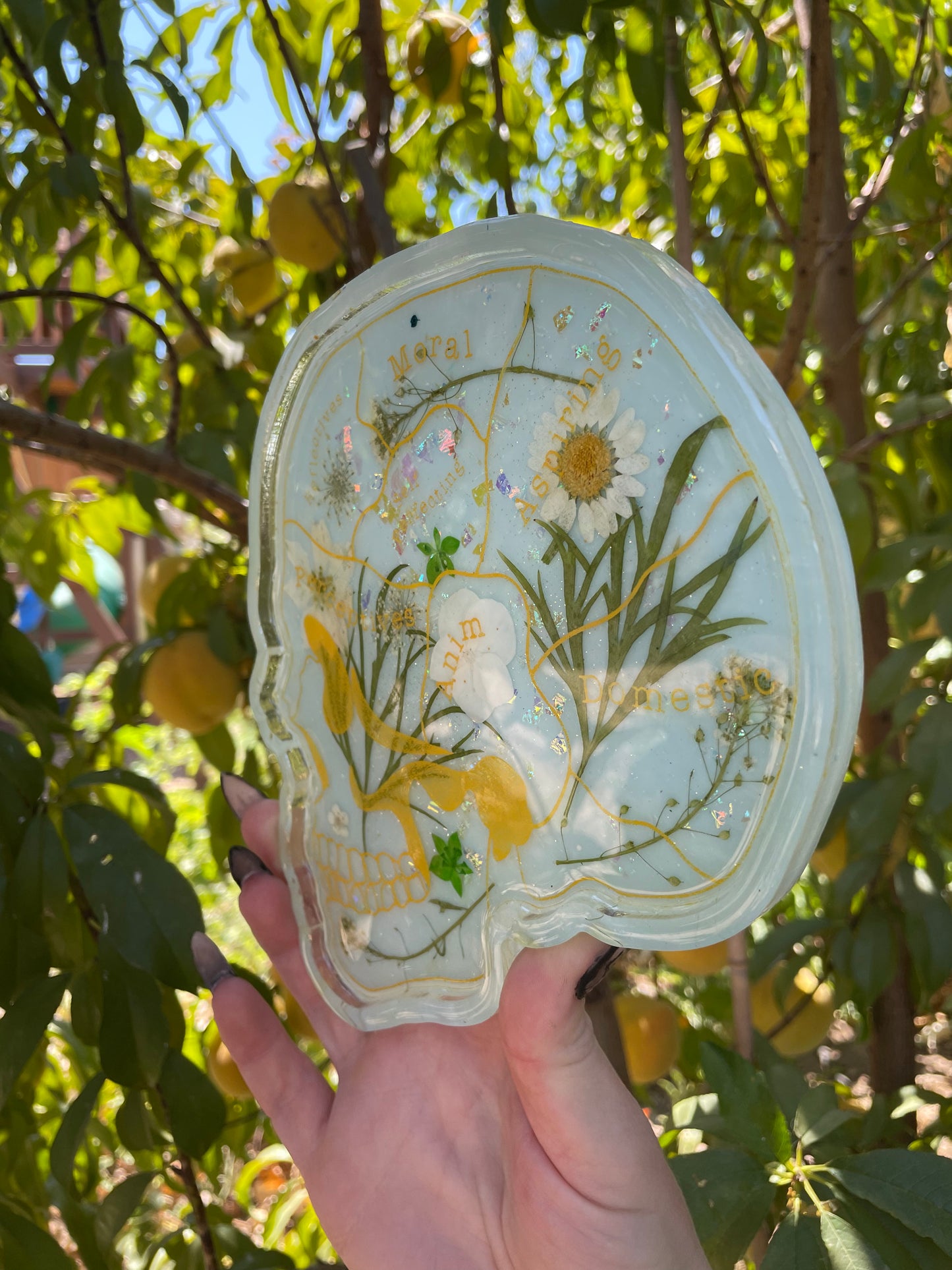 Sky and Flowers Phrenology Trinket Tray