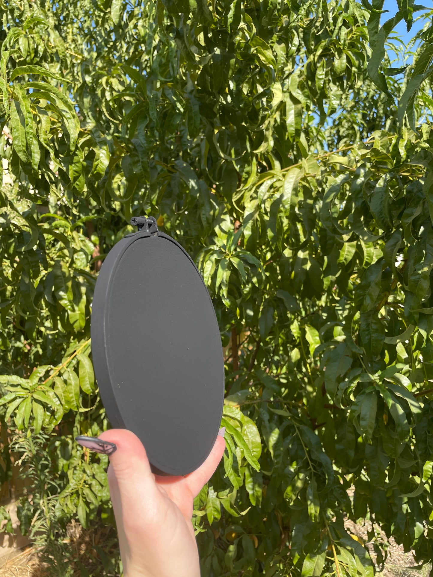The Void Hoop