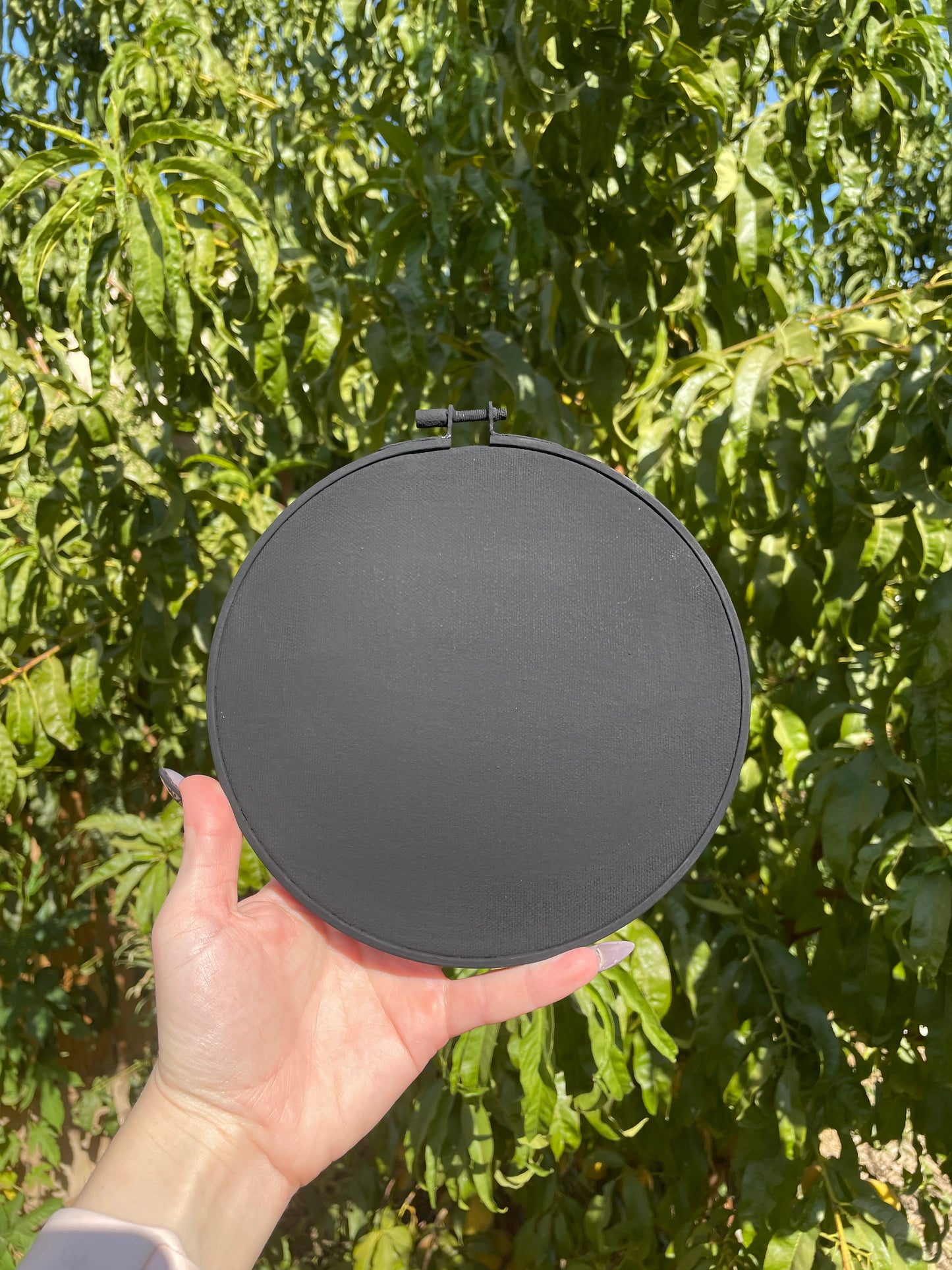 The Void Hoop