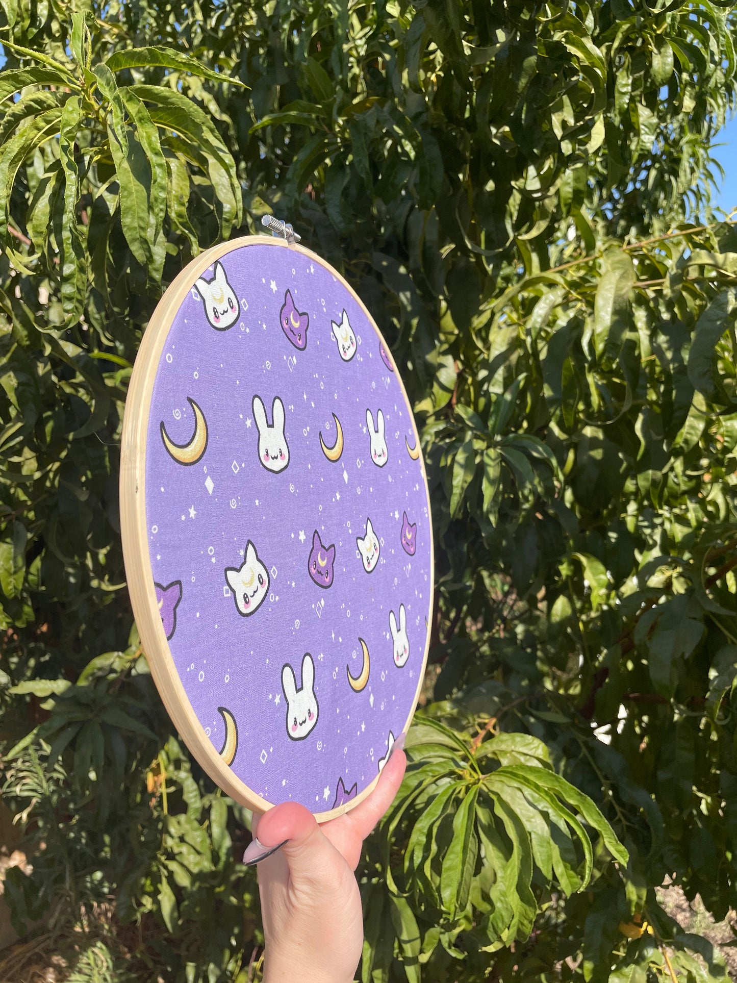 Moon Critters Hoop